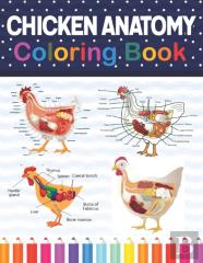 Chicken Anatomy Coloring Book
