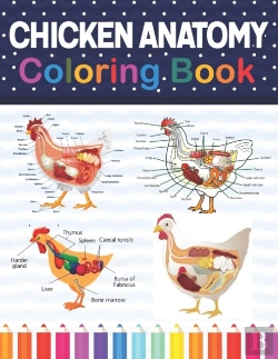 Bertrand.pt - Chicken Anatomy Coloring Book