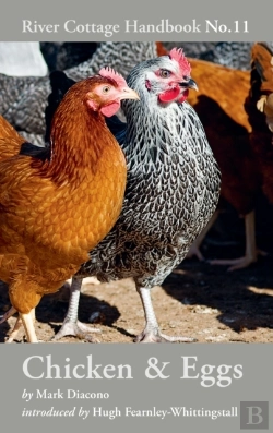 Bertrand.pt - Chicken & Eggs
