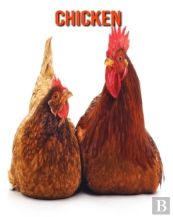 Bertrand.pt - Chicken