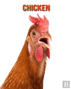 Bertrand.pt - Chicken