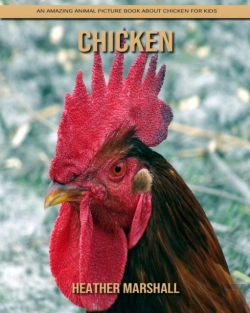 Bertrand.pt - Chicken