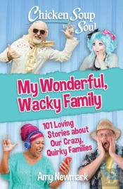Chicken Soup For The Soul: My Wonderful, Wacky Family