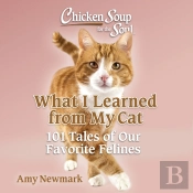 Chicken Soup For The Soul: What I Learned From My Cat