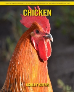 Bertrand.pt - Chicken