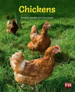 Bertrand.pt - Chickens