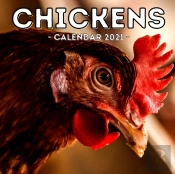 Chickens Calendar 2021