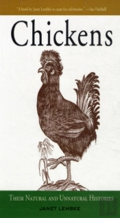 Chickens