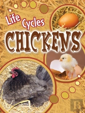 Chickens