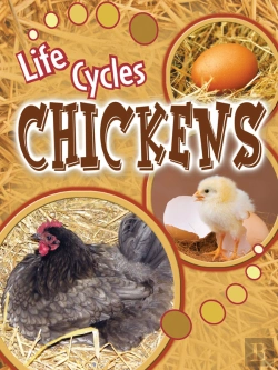 Bertrand.pt - Chickens