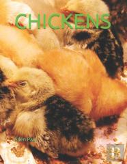 Chickens