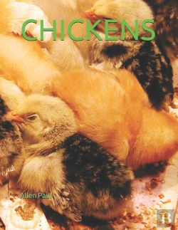 Bertrand.pt - Chickens