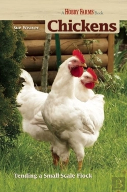 Bertrand.pt - Chickens