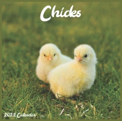 Bertrand.pt - Chicks 2022 Calendar