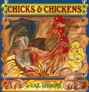 Chicks & Chickens
