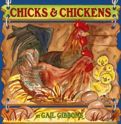 Bertrand.pt - Chicks & Chickens