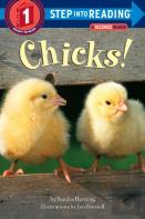 Chicks!