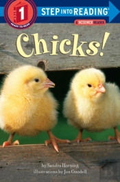 Chicks!