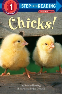 Bertrand.pt - Chicks!