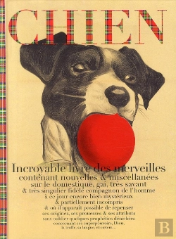 Bertrand.pt - Chien, Incroyable Registre Des Archives, Nouvelles Et Miscellanées