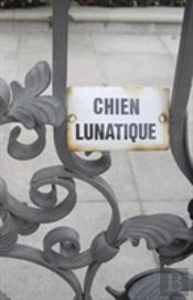 Chien Lunatique