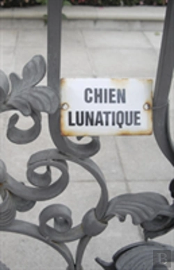 Bertrand.pt - Chien Lunatique