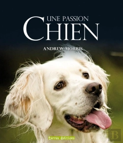 Bertrand.pt - Chien ; Une Passion