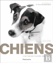 Chiens