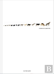 Chiens De Lanester