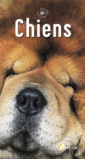 Chiens