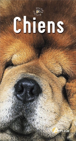 Bertrand.pt - Chiens