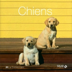 Bertrand.pt - Chiens - La Collection