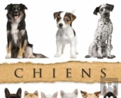 Chiens