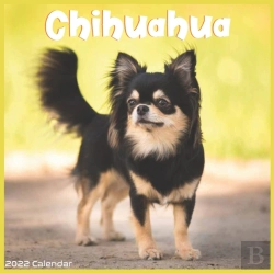 Bertrand.pt - Chihuahua 2022 Calendar