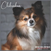 Chihuahua Calendar 2022