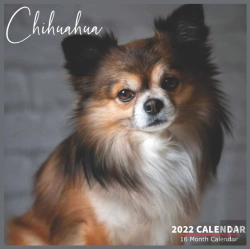 Bertrand.pt - Chihuahua Calendar 2022