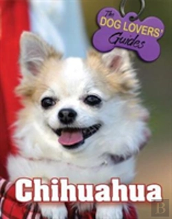 Bertrand.pt - Chihuahua