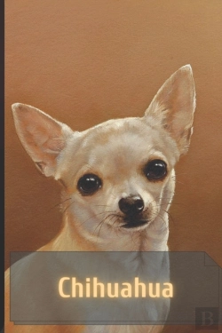 Bertrand.pt - Chihuahua