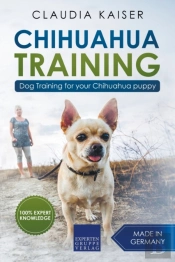 Chihuahua Training: Dog Training For You
