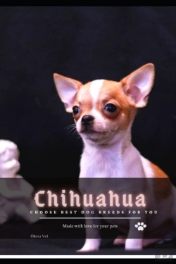 Bertrand.pt - Chihuahua