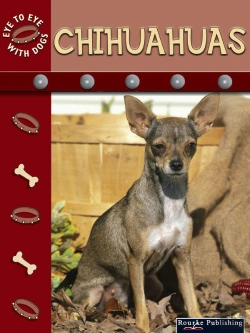 Bertrand.pt - Chihuahuas