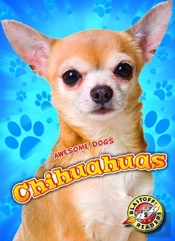 Chihuahuas