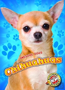 Bertrand.pt - Chihuahuas