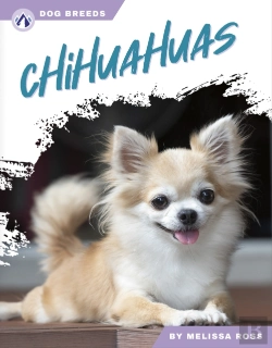 Bertrand.pt - Chihuahuas