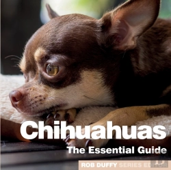 Bertrand.pt - Chihuhuas
