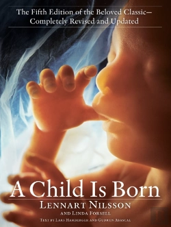 Bertrand.pt - Child Is Born