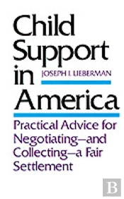 Child Support In America