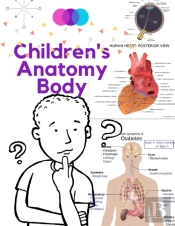 Children'S Anatomy Body