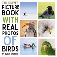 Children'S Book With Real Photos Birds