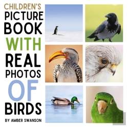 Bertrand.pt - Children'S Book With Real Photos Birds